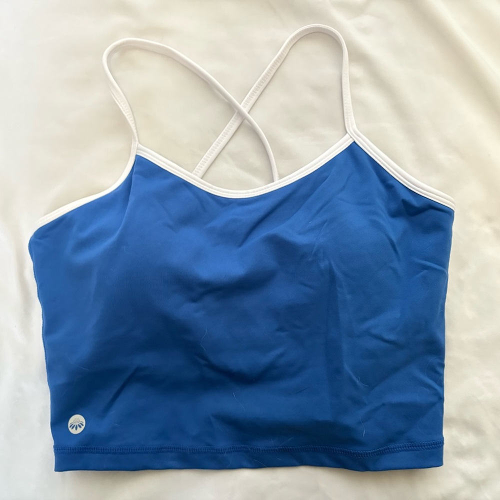 Senita Athletics Ava Classic Blue Crop Top